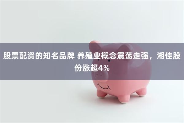 股票配资的知名品牌 养殖业概念震荡走强，湘佳股份涨超4%