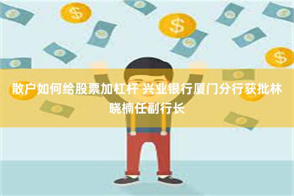 散户如何给股票加杠杆 兴业银行厦门分行获批林晓楠任副行长