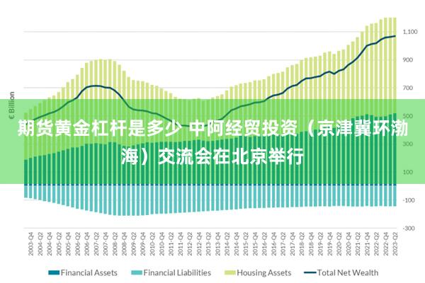 期货黄金杠杆是多少 中阿经贸投资（京津冀环渤海）交流会在北京举行