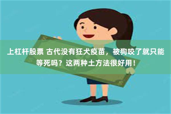 上杠杆股票 古代没有狂犬疫苗，被狗咬了就只能等死吗？这两种土方法很好用！