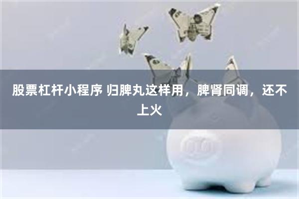 股票杠杆小程序 归脾丸这样用，脾肾同调，还不上火