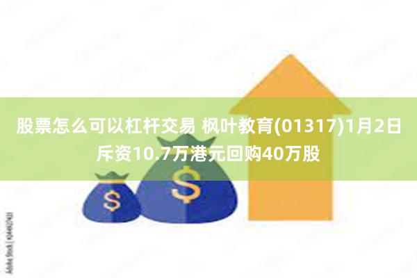 股票怎么可以杠杆交易 枫叶教育(01317)1月2日斥资10.7万港元回购40万股