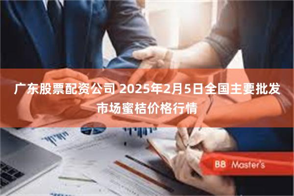 广东股票配资公司 2025年2月5日全国主要批发市场蜜桔价格行情