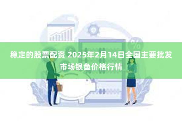 稳定的股票配资 2025年2月14日全国主要批发市场银鱼价格行情