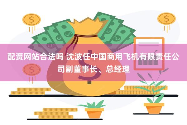 配资网站合法吗 沈波任中国商用飞机有限责任公司副董事长、总经理